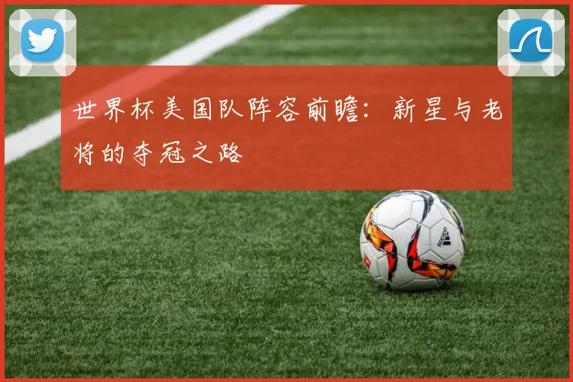 世界杯美国队阵容前瞻:新星与老将的夺冠之路