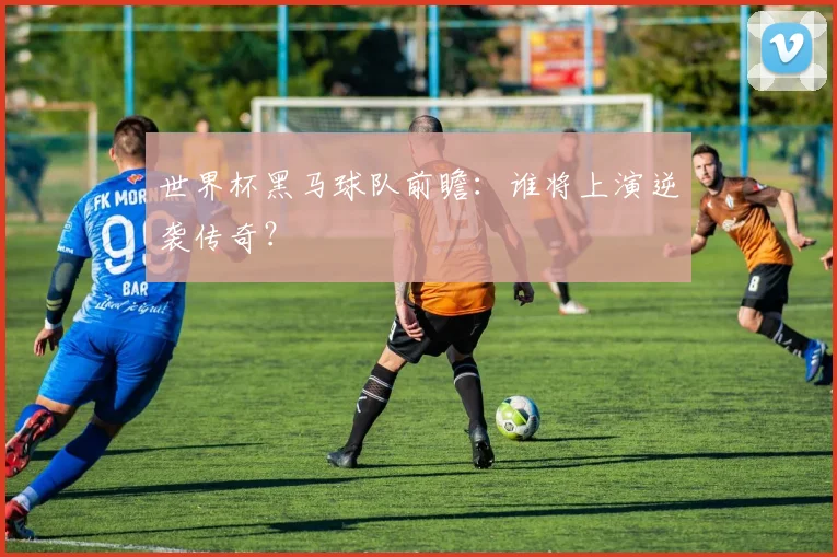 世界杯黑马球队前瞻：谁将上演逆袭传奇？