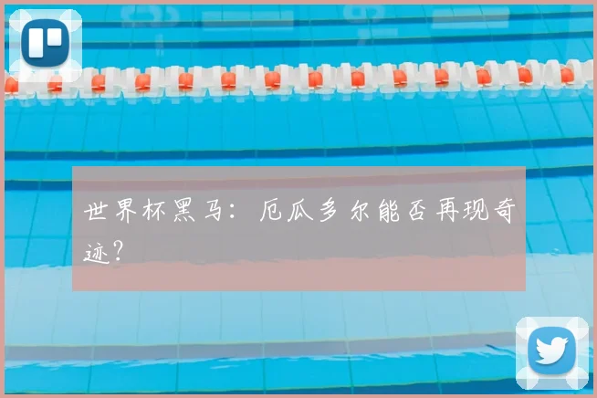 世界杯黑马：厄瓜多尔能否再现奇迹？