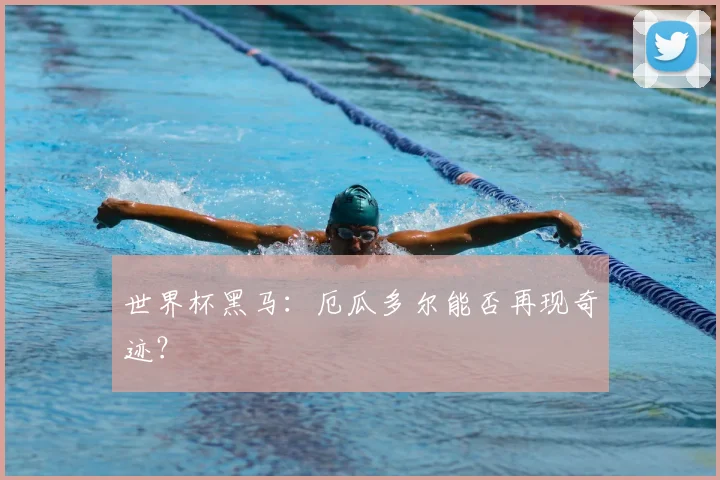 世界杯黑马:厄瓜多尔能否再现奇迹?