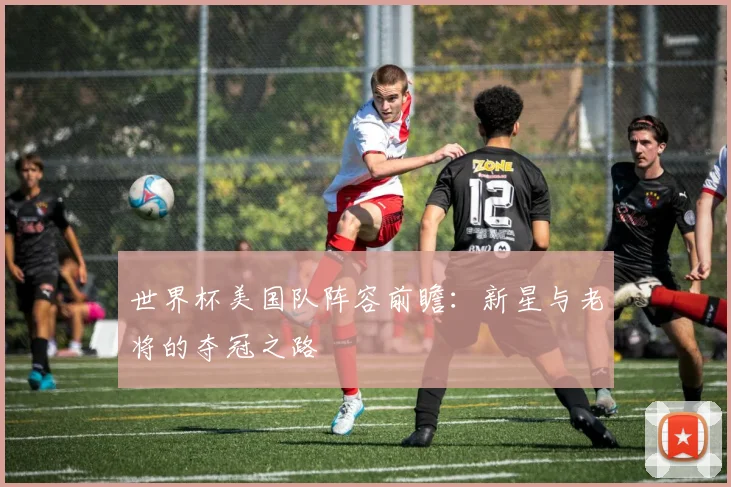 世界杯美国队阵容前瞻:新星与老将的夺冠之路